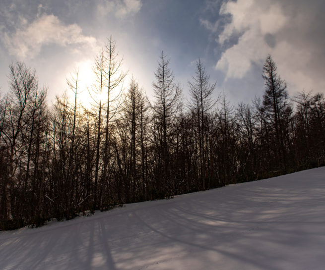 Grandee Hatoriko Ski Resort