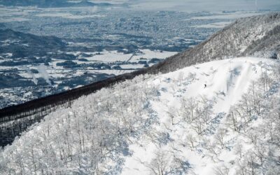 The Aizu Advantage The Aizu Advantage