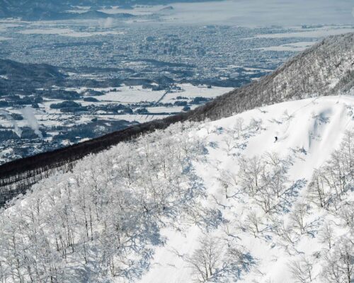 The Aizu Advantage The Aizu Advantage