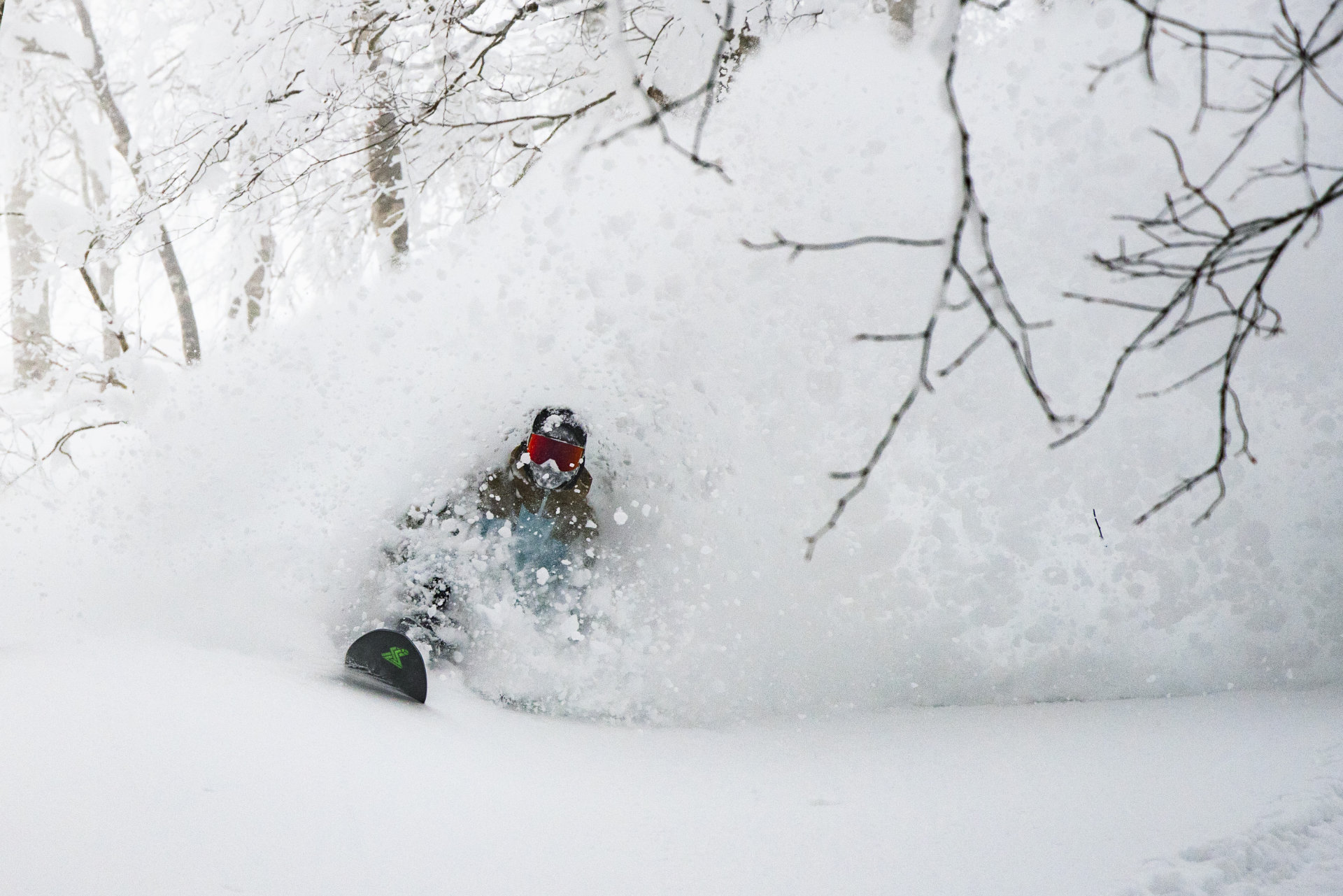Tree and Powder