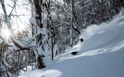 Make Your Day with a Local Guide