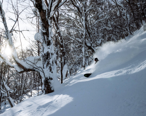 Make Your Day with a Local Guide
