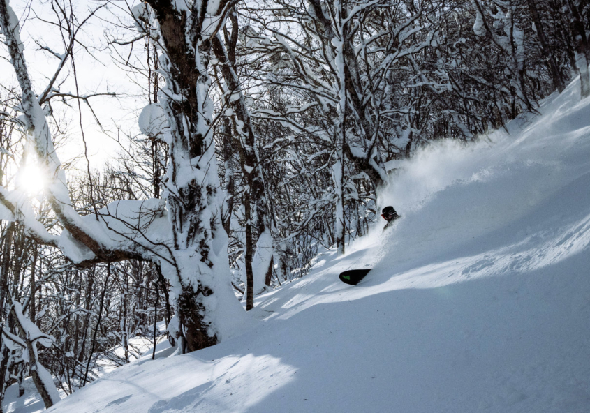 Make Your Day with a Local Guide