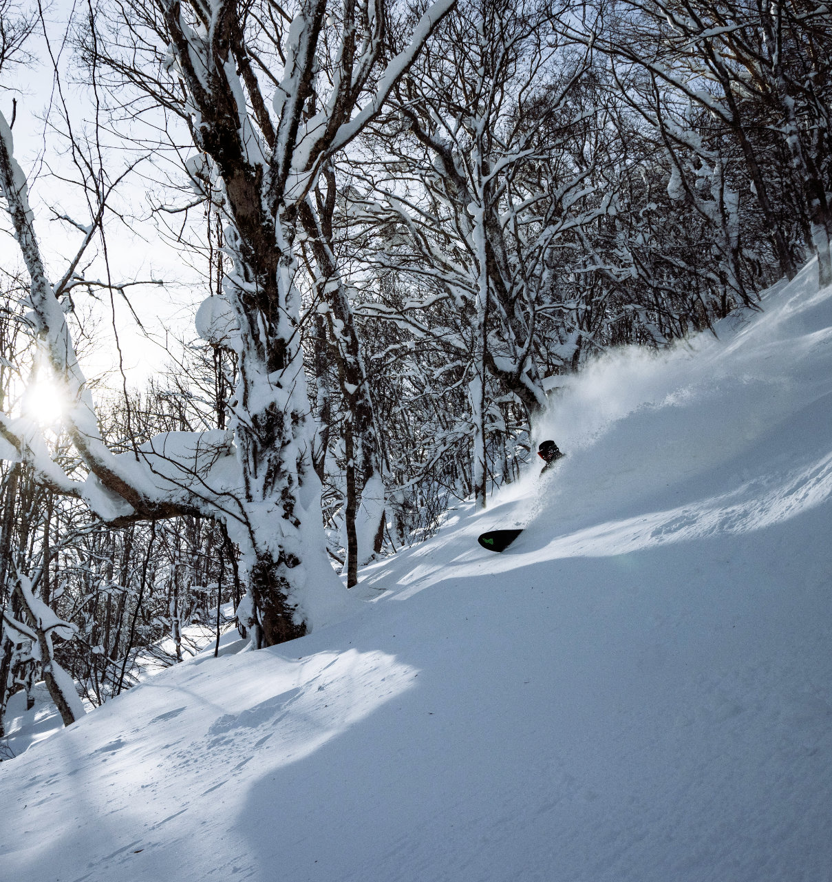 Make Your Day with a Local Guide