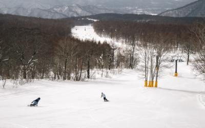 Exploer your winter