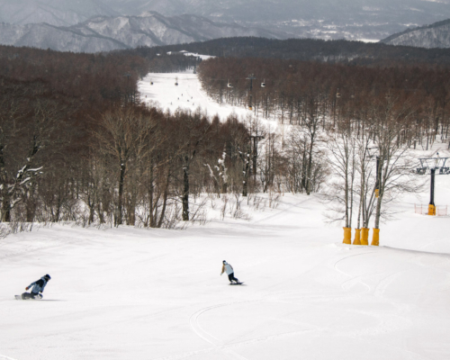 Exploer your winter