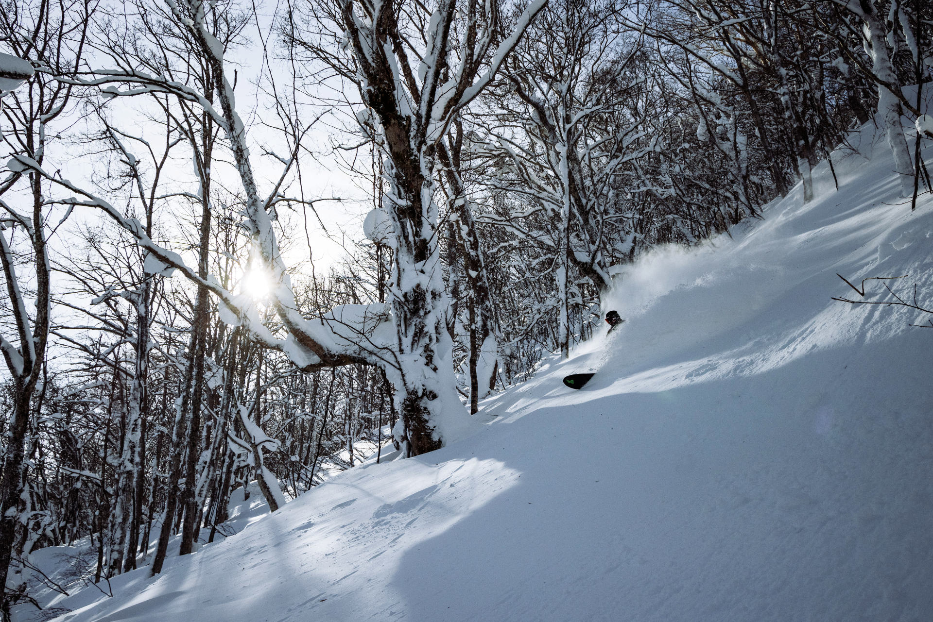 Make Your Day with a Local Guide