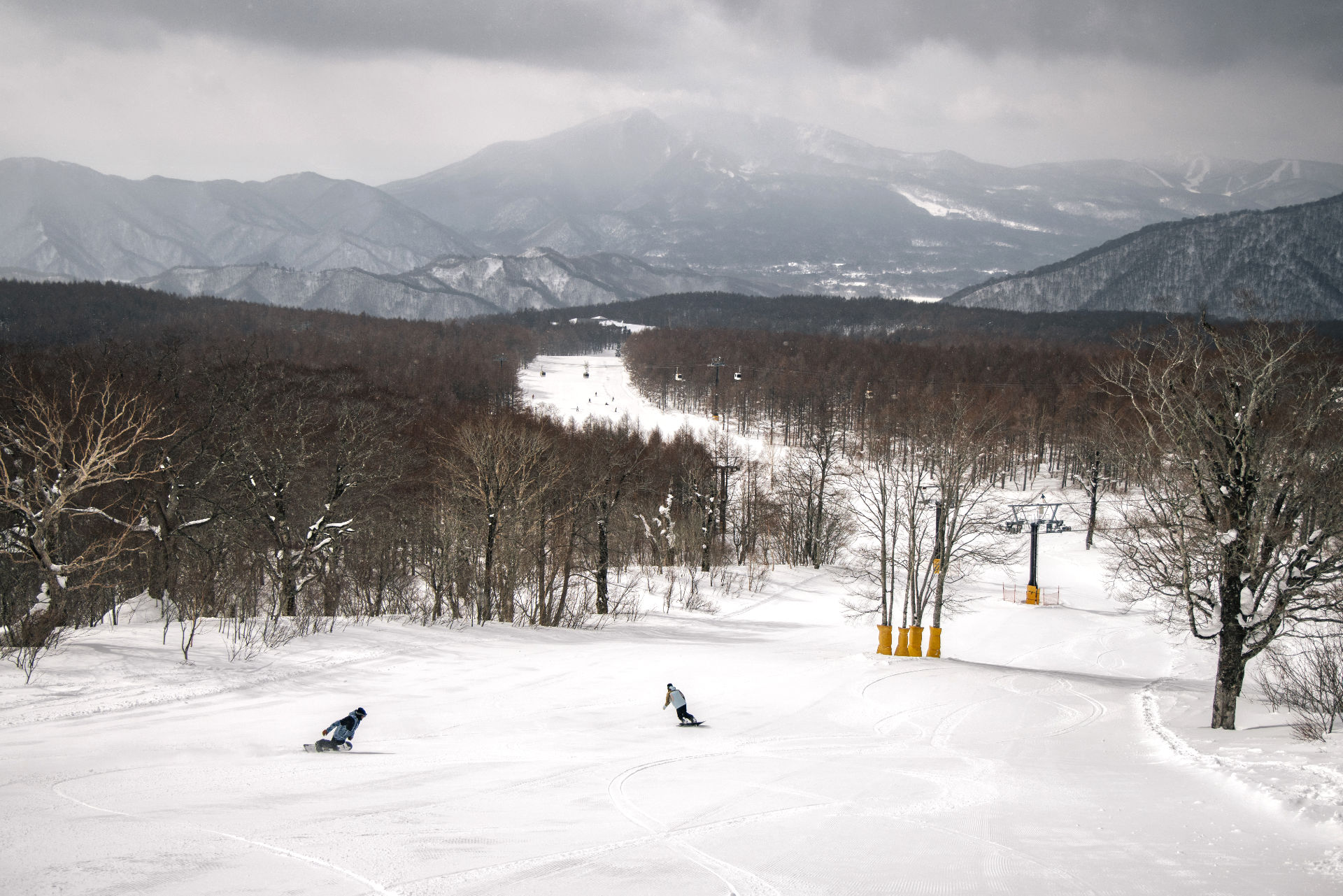 Exploer your winter